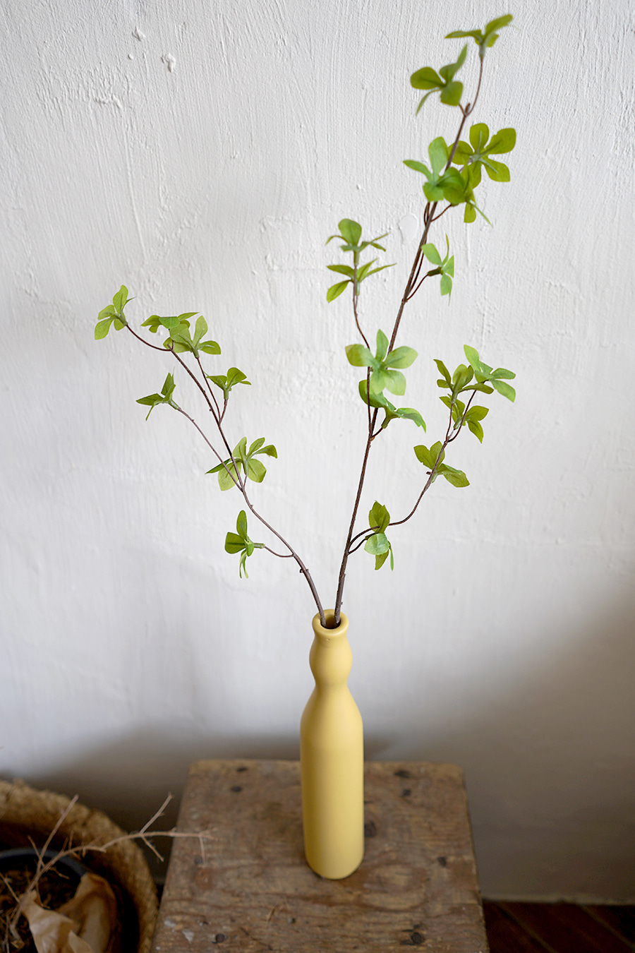 블랑쉬 페룰라투스등대꽃나무 조화 식물 인테리어 장식